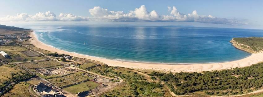 Apartamento Palo Cortao Jerez de la Frontera Exteriör bild